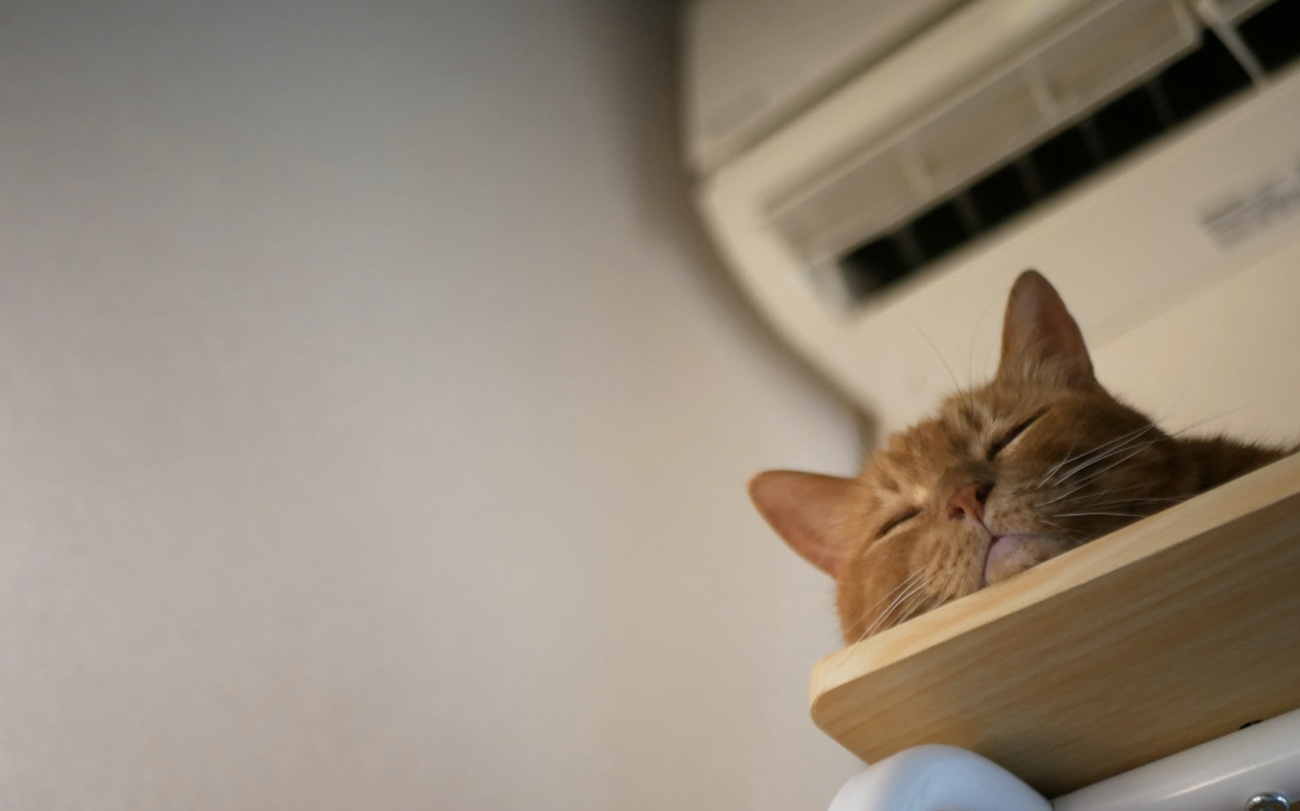 エアコンを24時間つけっぱなしにしてもいい？電気代の節約方法を専門家が解説