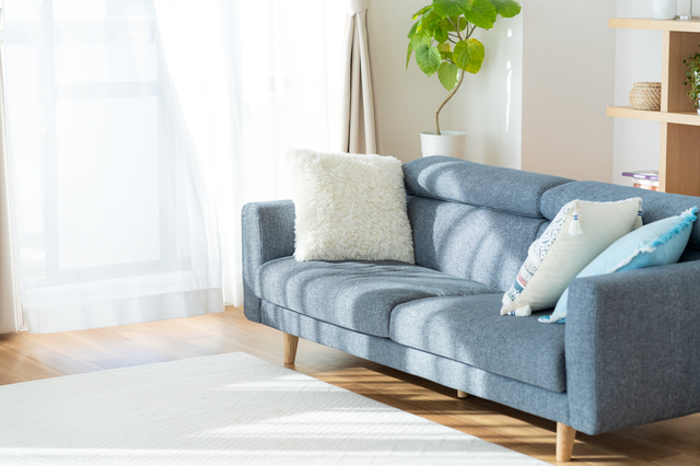 pixta_98146140_S (1).jpg