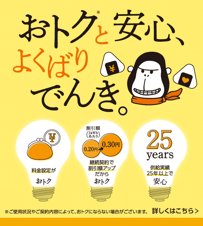 おトクと安心、よくばりでんき。