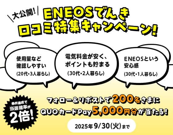 ＥＮＥＯＳでんき　口コミ特集キャンペーン