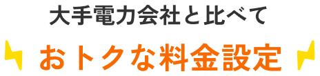 大手電力会社・大手ガス会社と比べておトクな​料金設定