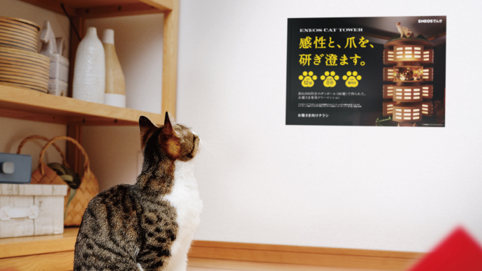 お猫さま向けチラシ1