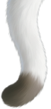 猫尻尾