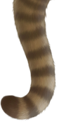 猫尻尾