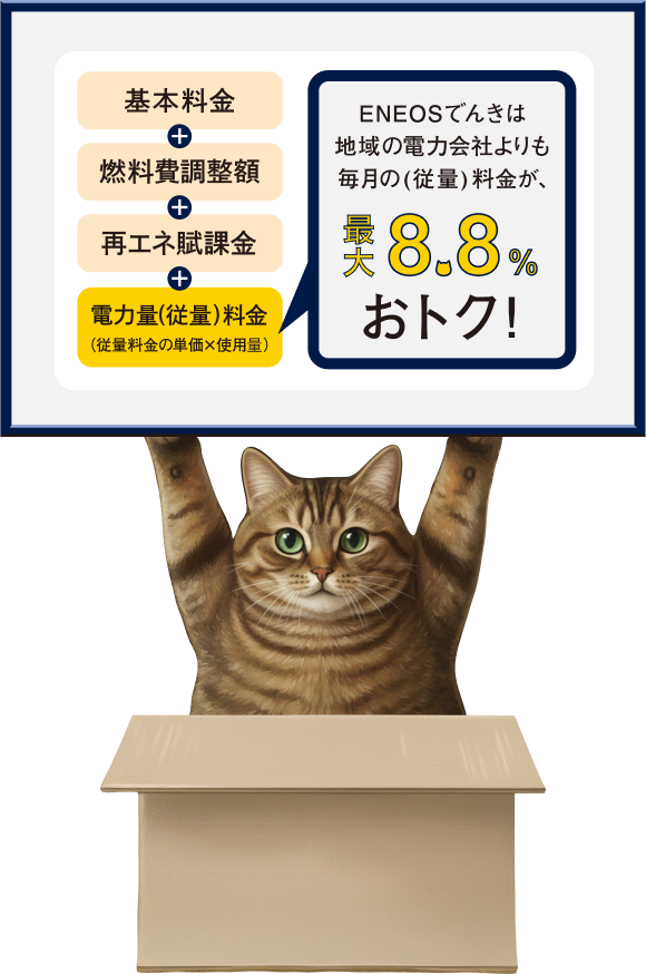 シンプルでおトクな料金設定ですにゃ。