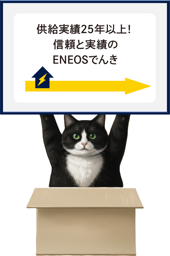 こんなに前からでんきを扱ってるんですにゃ。