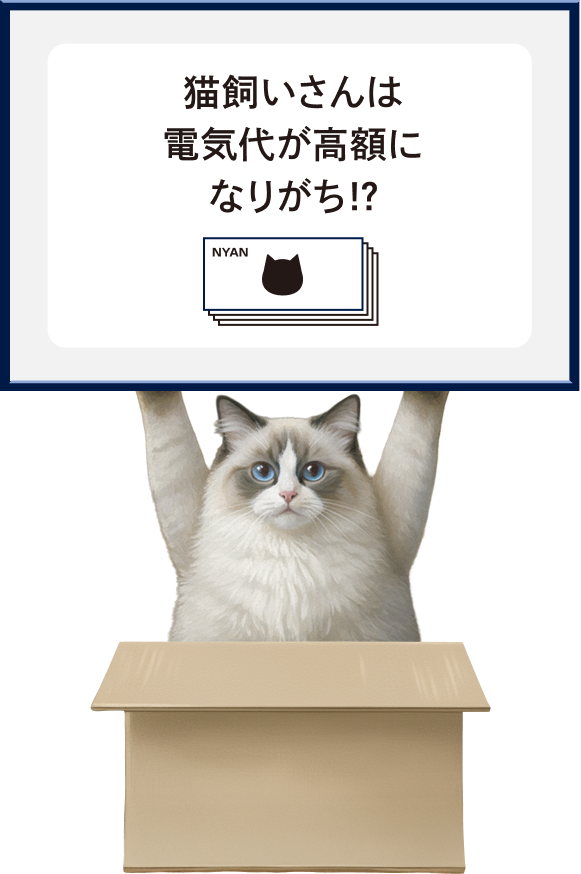 近年、猫の熱中症対策や健康管理、安全管理のため、猫を飼育していない世帯よりも電気代が高額になる傾向がありますにゃ。このような背景から、おトクな「ENEOSでんき」は、猫飼いさんにピッタリの電気といえるのですにゃ。