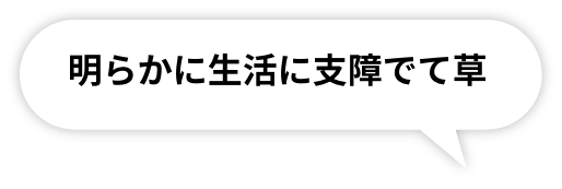 明らかに生活に支障でて草