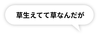 草生えてて草なんだが