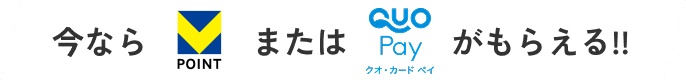 今ならPOINTかQUO Pay クオ・カード ペイ がもらえる!!