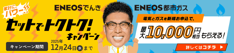 家計にパワー！！セットでトクトクキャンペーン 電気とガスを新規お申込で、最大10,000円相当もらえる！ キャンペーン期間／2025年12月24日（水）まで
