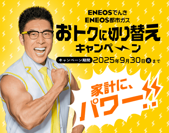 家計にパワー!! おトクに切り替えキャンペーン